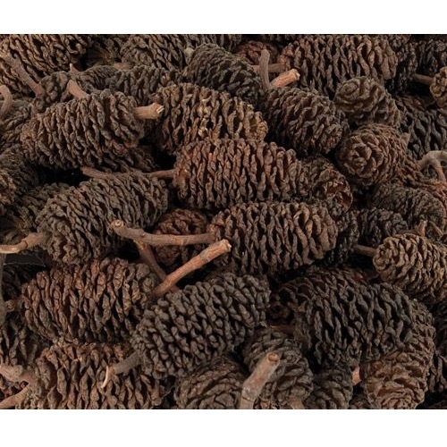 Bud Cones 220g (NP010) ETA 16/6