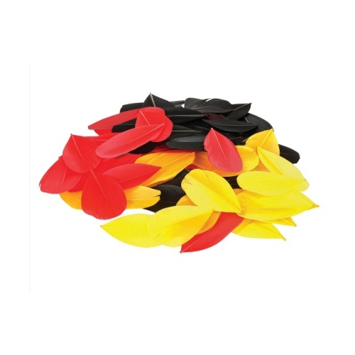 Trimmed Feathers Aboriginal Flag Colours 20g