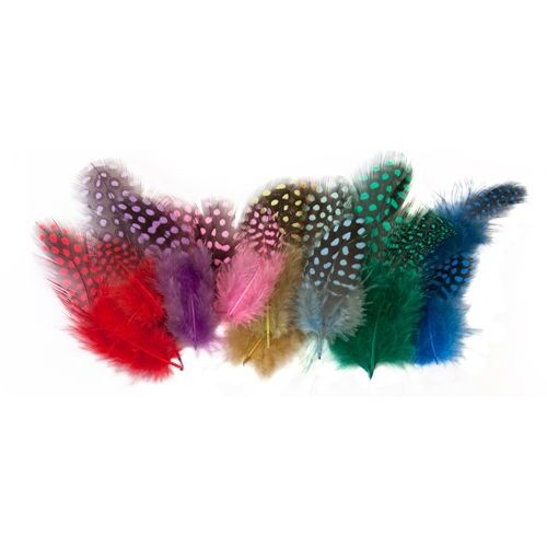 Guinea Fowl Feathers 10g Assorted Colours 100's