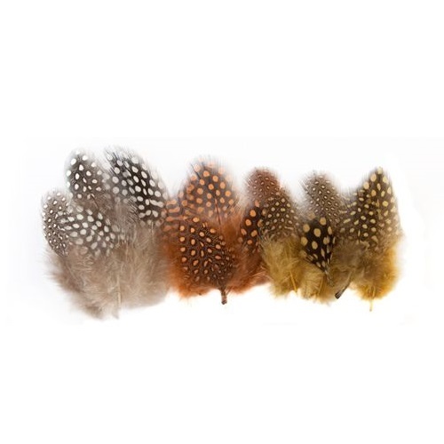 Guinea Fowl Feathers 10g Natural 100’s