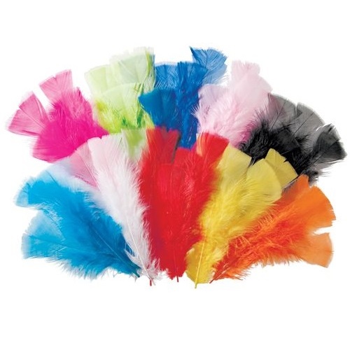 Feathers 60g Assorted 240's (FT102-AS)