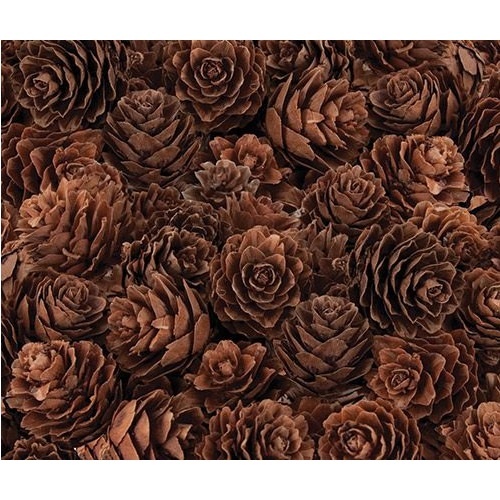 Pine Cones MINI 190g  (NP035) ETA 1/5
