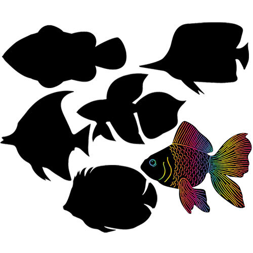 Scratch Fish 24s (SA046)