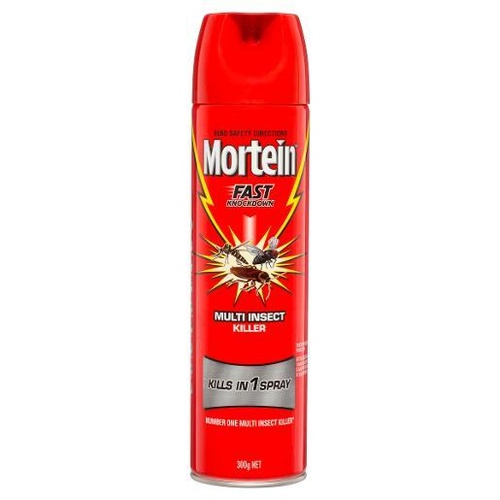 Mortein Fast Knockdown Insect Spray 300g