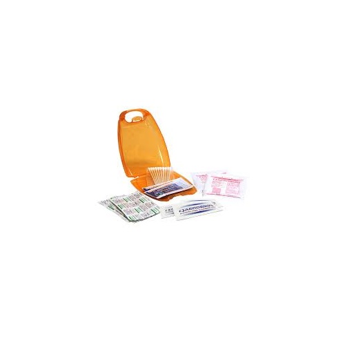 Companion First Aid Kit 