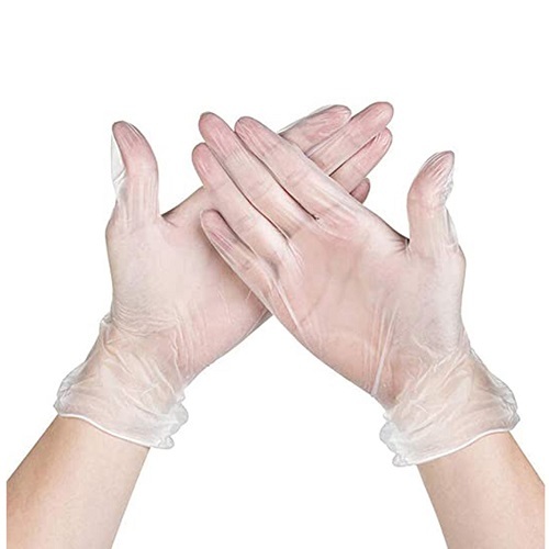 Vinyl Powder Free Clear Glove X-Large Ctn (Pk 100 x 10)