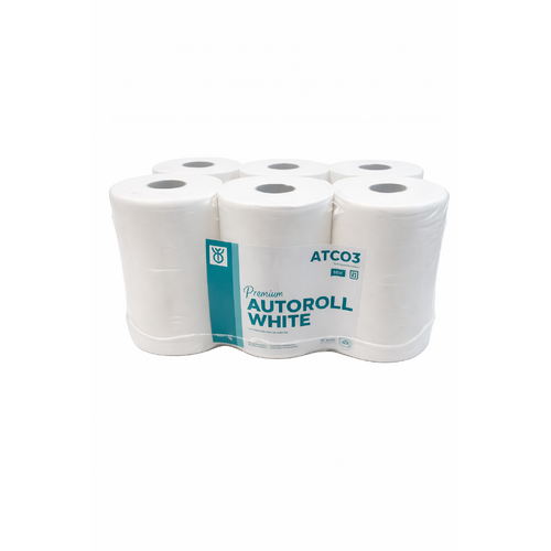 Auto Paper Towel Roll Recycled 2 PLY Carton 6 ( 100m x 6) (ATC03)
